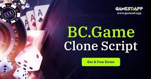 Experience Thrilling Betting with BC.Game